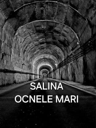 imagine - Excursie 1 Zi de Relaxare la Salina Ocnele Mari și frumoasele Mănăstiri din Vâlcea.