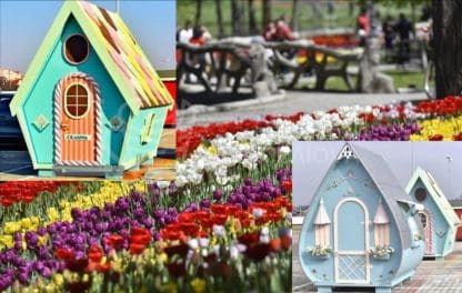 imagine - Excursie de 1 zi la Târgul de Paște din Craiova. 2026