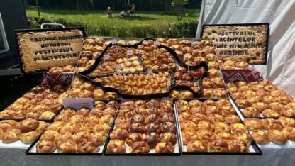 imagine - EXCURSIE 1 ZI LA FESTIVALUL PLACINTELOR LACUL NOUA BRASOV