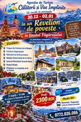 imagine - Poveste de Iarnă la Poalele Făgărașului: Revelion Magic cu Pensiune Completă
